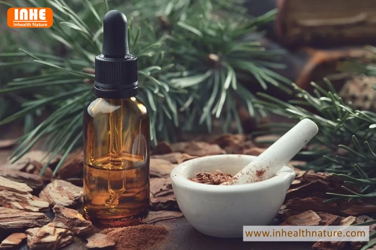 Pine Bark Extract 95% OPC-1
