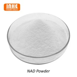 Hvorfor er liposomal teknologi egnet til NAD-pulver?