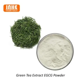 Grøn te-ekstrakt vs Matcha-ekstrakt