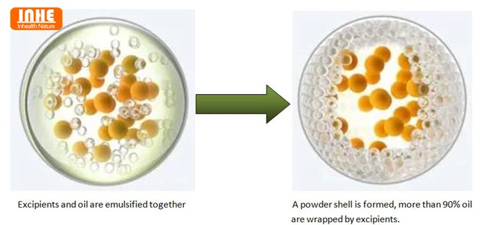 Microencapsulation Technology